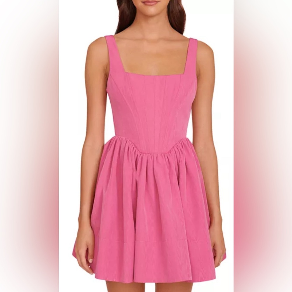 STAUD
Landscape Bustier Mini Dress - Picture 3 of 8
